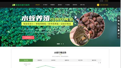 水蛭行情_水蛭价格_水蛭干品价格_水蛭清水吊干-心传承水蛭养殖招商