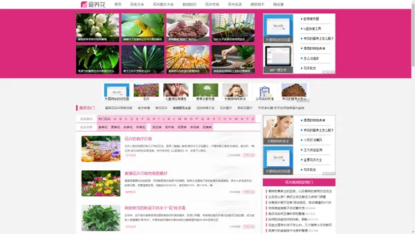 爱养花iYangHua_花卉网_养花知识_花卉图片大全_花卉图片及名称大全