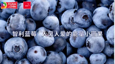 Fruits From Chile - Blueberries