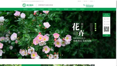 都江堰市龙兴花卉园林种植场|桢楠|花卉|苗木