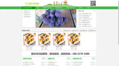 马陆葡萄网-马陆葡萄采摘攻略|新品种|礼盒装|价格多少钱一斤