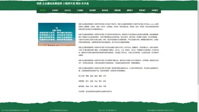 哈密 企业建站免费指导 小程序开发 帮扶 东丰县