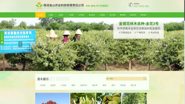 陕西元宝枫生产_油用牡丹加工_金银花种植_文冠果示范基地|杨凌金山农业科技有限责任公司