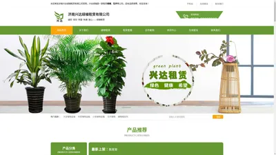 济南绿植租赁|济南办公室绿植租赁|济南绿植租赁公司_济南兴达绿植租赁有限公司