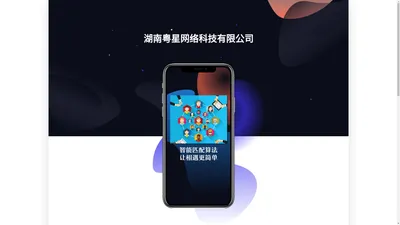 湖南粤星网络科技有限公司