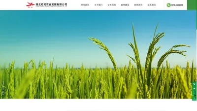 湖北红和农业发展有限公司_水稻种植_农产品深加工_粮食烘干仓储