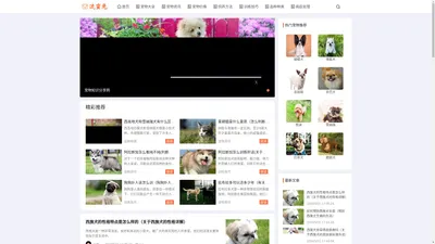 流蛮兔-专注于宠物猫和宠物狗喂养、护理、宠物、训练的宠物信息综合网站