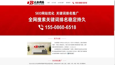 大标网络丨专业SEO优化公司-网站SEO优化-关键词排名推广