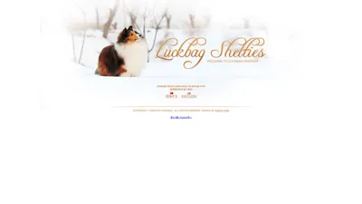 Welcome to Luckbag shelties | 百宝箱犬舍