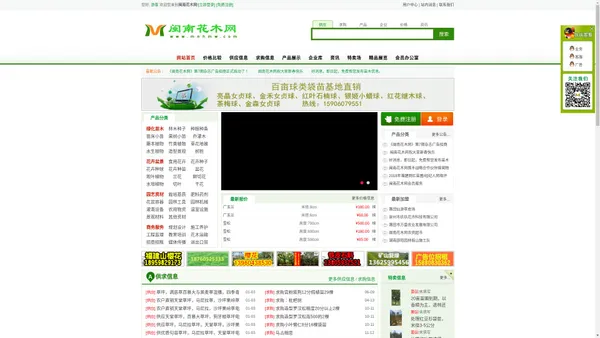 闽南花木网-闽南花卉苗木园林行业信息网站,园林绿化,苗木价格,实时苗木采购和苗木报价，网上花木市场,苗木求购信息