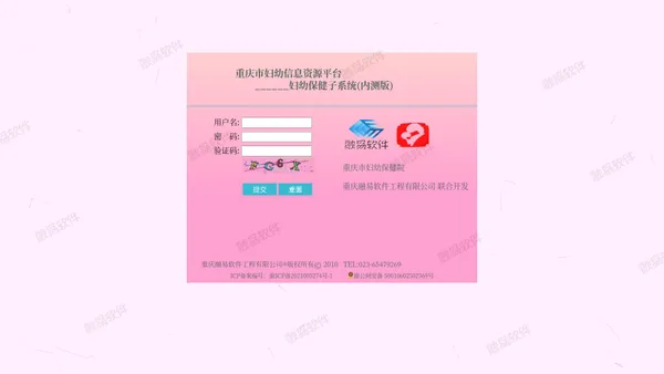 重庆融易.儿保软件@2010