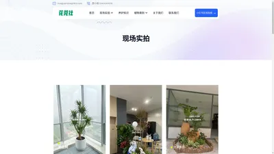 花莞社 - 东莞绿植租赁