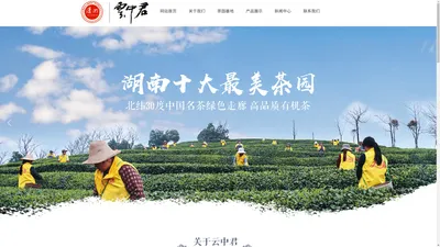 湖南云中君茶业有限公司【官网】红茶|绿茶|白茶|石门银峰|潇湘茶|云中君茶业