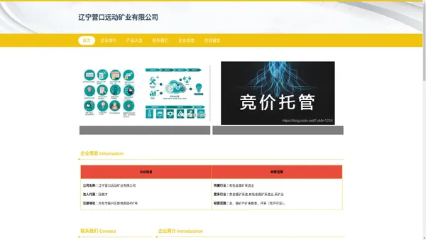 辽宁营口远动矿业有限公司_金银矿产矿床勘查开采