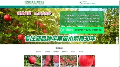 陕西杨凌新品种苹果苗-低价格-零售-批发-繁育基地-扶风县圣丰苗木繁育中心