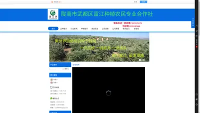 陇南富江油橄榄苗木种植网（油橄榄苗木 陇南油橄榄树苗 油橄榄小苗 油橄榄行道树 庭院绿化树 油橄榄大树 油橄榄景观树）