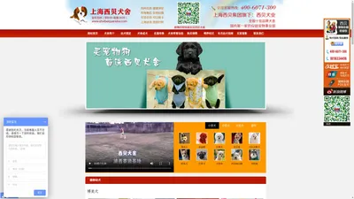 上海西贝犬舍 - 上海西贝犬业