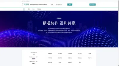 河南嵩网信息科技有限公司