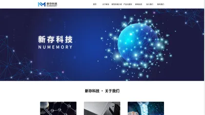 新存科技（武汉）有限责任公司