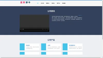 宜宾市野牛网络科技有限公司