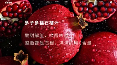 多子多福石榴汁-山东多子多福生物科技有限公司