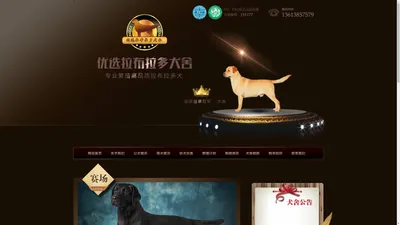 优选拉布拉多犬舍 - 优选拉布拉多犬舍