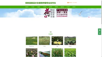 安新县奥溪水生植物种植专业合作社