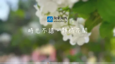 淘东淘西