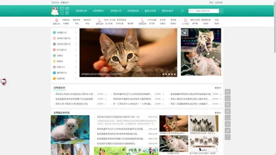 宠物猫论坛-养猫论坛-猫咪交流群-五彩雀 