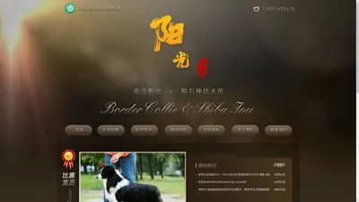 南京阳光犬舍 - 南京阳光犬舍