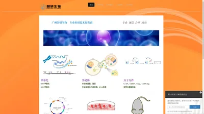 智研生物-专业科研技术服务商