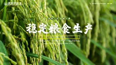 友谊县新虹丰粮食经销有限公司