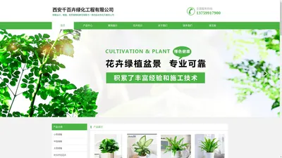 西安绿植租摆|西安花卉租赁|办公室绿植租摆|西安租花|西安千百卉绿植花卉租摆