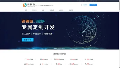 跳跳鱼科技_微信小程序制作_微信小程序开发_微信小程序公司|代理|怎么做|如何制作