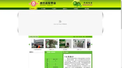 潍坊市寒亭区志军西瓜专业合作社，西瓜、小林红玉、禾山玉、沙漠绿、雪梨、羊角蜜、翠玉西瓜、甜瓜