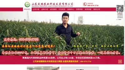 苹果苗批发_苹果苗厂家-山东成鹏农业科技发展有限公司