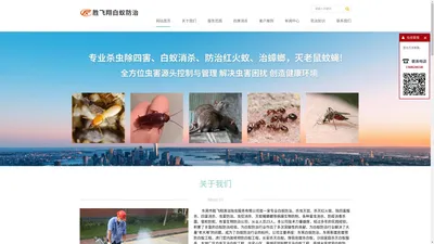 东莞白蚁防治公司，东莞白蚁公司，东莞治白蚁、东莞防治白蚁找东莞胜飞翔白蚁公司