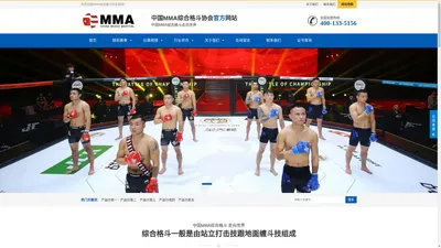 MMA综合格斗协会