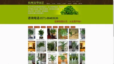 杭州植物租赁杭州市滨江花卉公司杭州盆景租摆萧山区花木租赁杭州植物出租租花租植物租花卉办公室租盆景租花