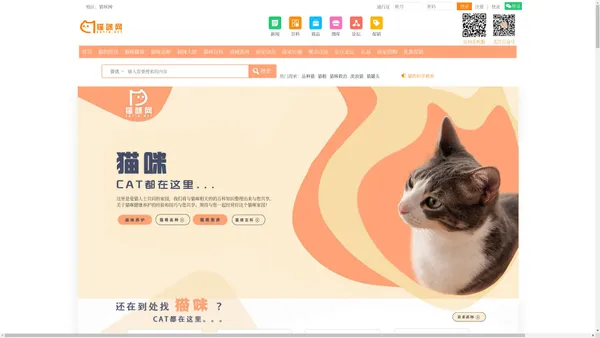 猫咪网-猫咪网官方网站