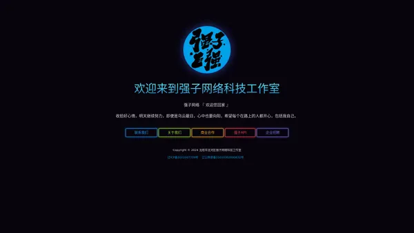 沈阳市沈河区强子网络科技工作室-十二年老品牌互联网公司