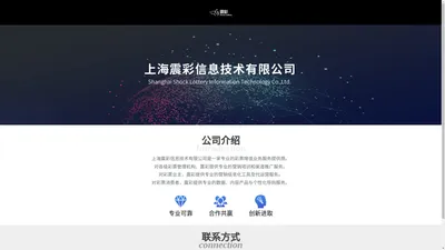 上海震彩信息技术有限公司