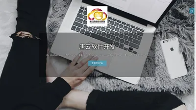 唐云软件开发 H5、WebApp、app、小程序、公众号、安卓、ios软件开发 php、java、.net 人脸识别安防监控、楼宇对讲、智能卡、呼叫中心