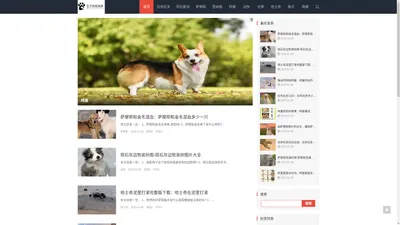 宝贝狗宠物网 - 精选犬种与狗粮，为爱宠打造幸福生活！