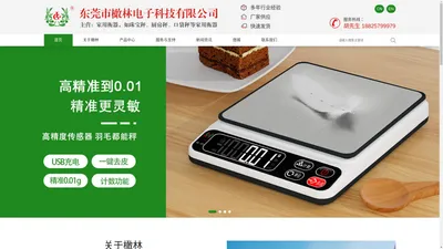 东莞市橄林电子科技有限公司---CS厨房秤、家用电子秤、玻璃秤 、车钥匙秤 、克拉珠宝秤