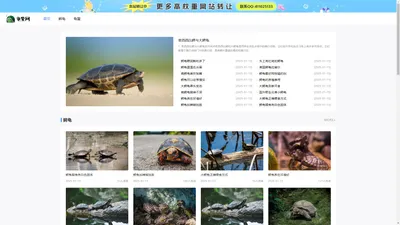 龟鳖网_龟鳖供求信息_龟鳖交易网_金钱龟_石龟_安南龟_鳄龟