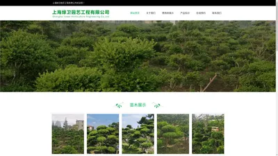 上海绿卫园艺工程有限公司_黄杨树_黄杨树种植基地