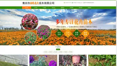 青州时令草花、宿根花卉及绿化苗木供应公司-青州市新皓花卉苗木有限公司