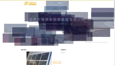 北京天雅资本投资管理有限公司