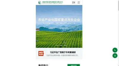 湖南省茶业集团股份有限公司_安化黑茶_千两茶_茶叶种植生_茶叶加工生产